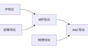 掉发严重怎么调理有效？2026 防脱养发品牌测评，深层强韧发根，拯救秃顶发缝！