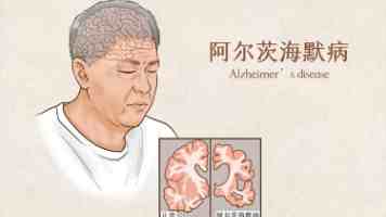 城投·荔庚园：一城繁华，一园静好
